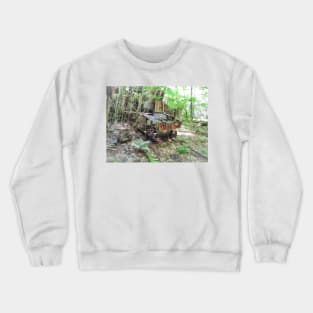 Grown Up Around The Line Crewneck Sweatshirt